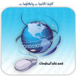 مواصفات خريج برنامج نظم المعلومات طبقاً للمعايير الاكاديمية القومية